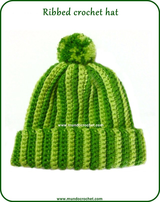 Crochet ribbed hat